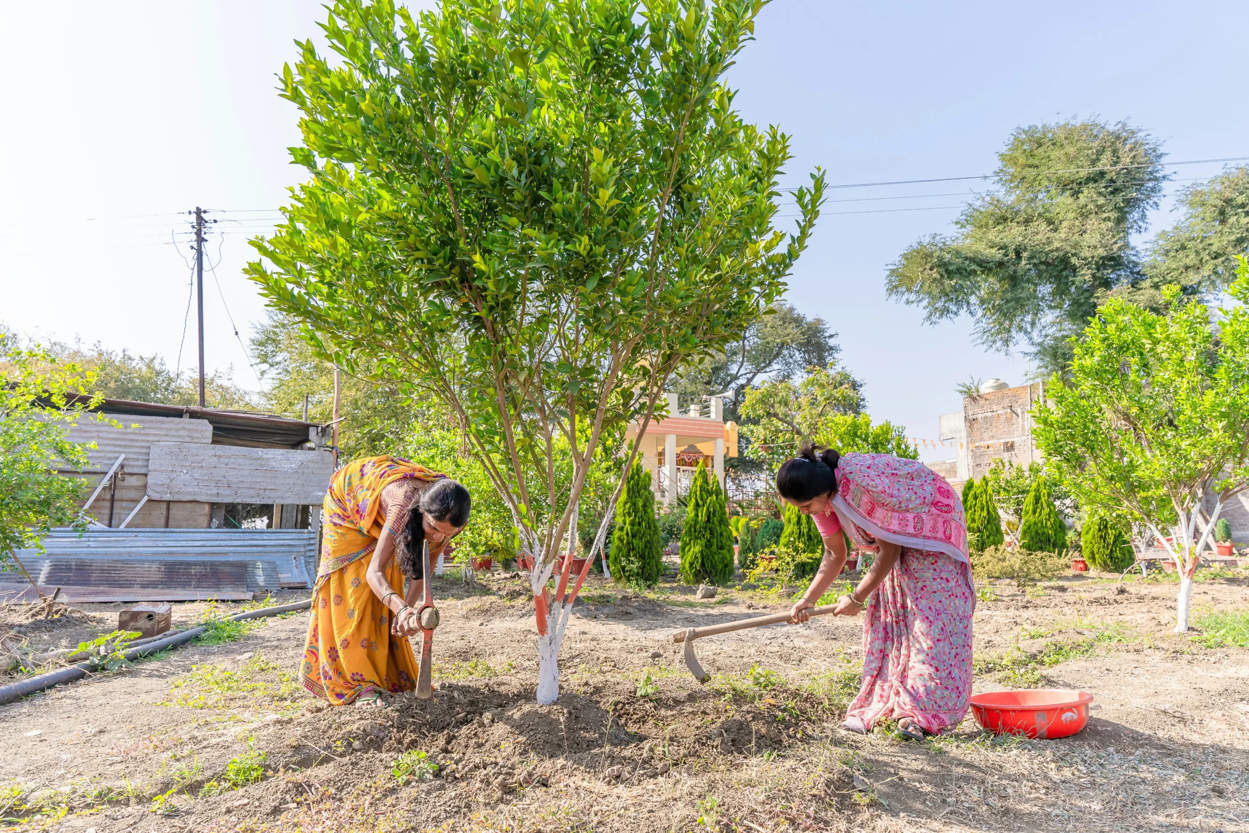 Greener Tomorrow Initiative